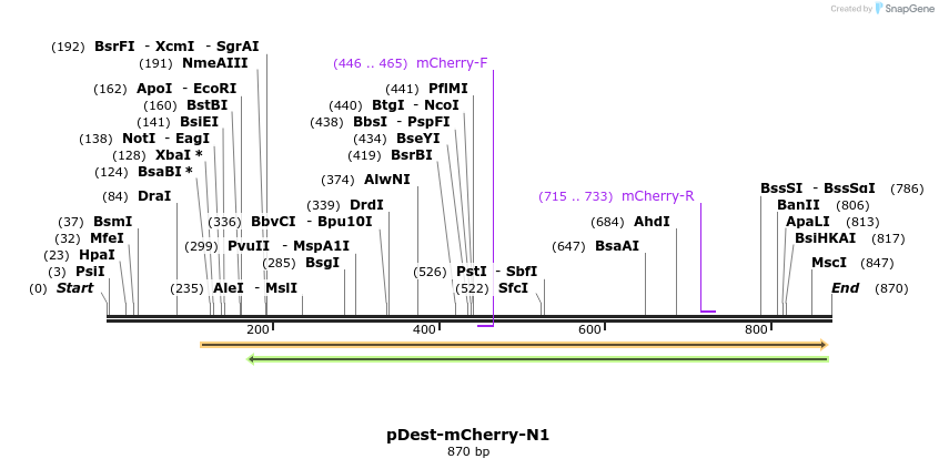 86079_map