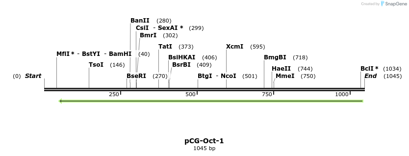 86082_map