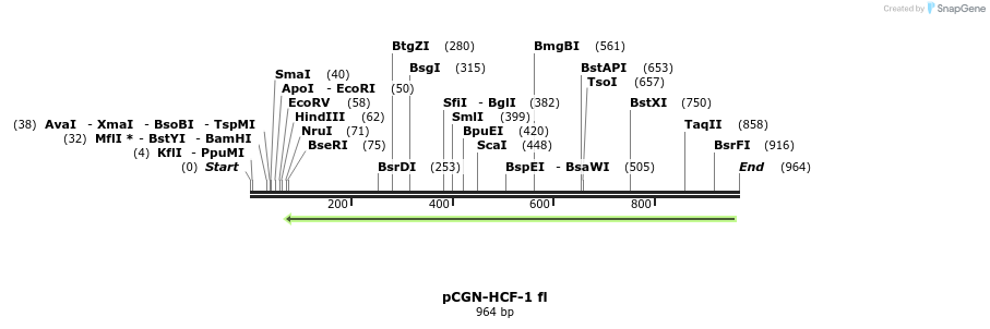 86089_map