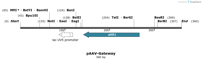 86091_map