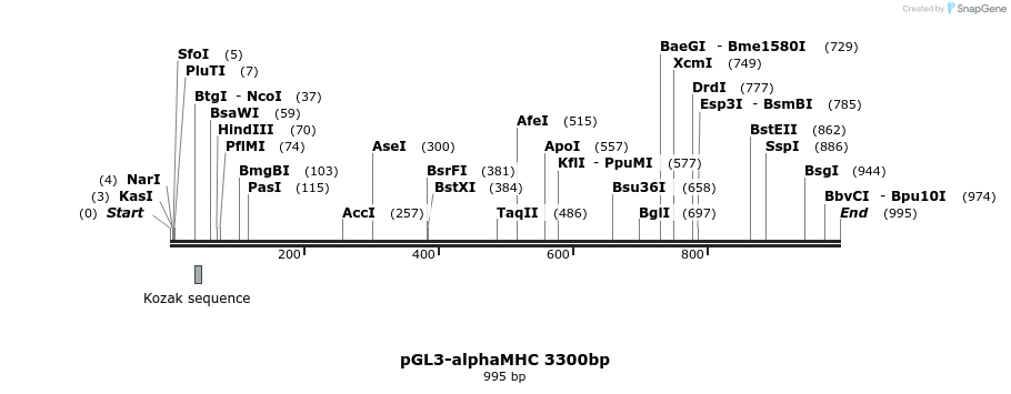 86098_map