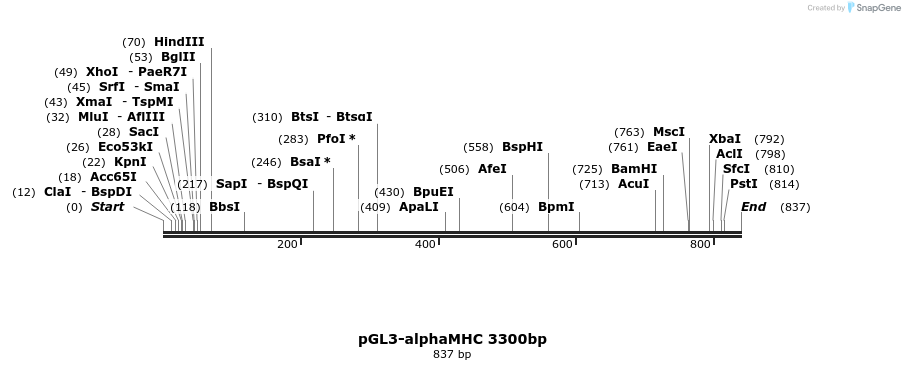 86101_map