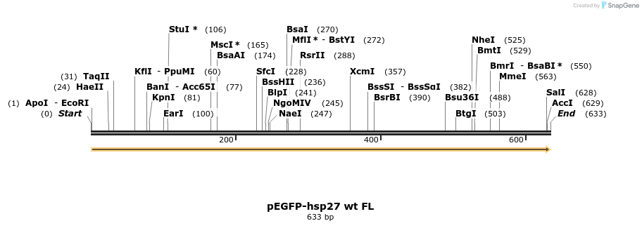 8613_map