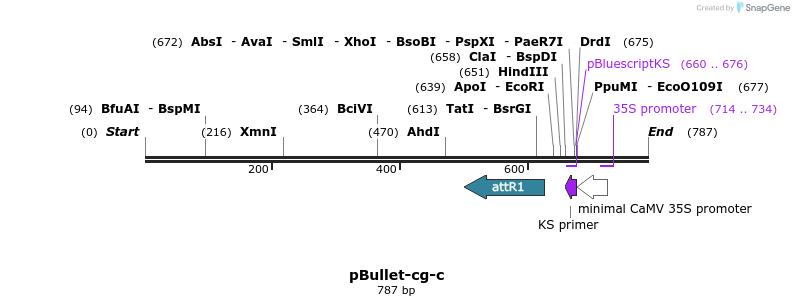 86131_map