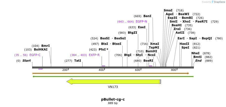 86134_map