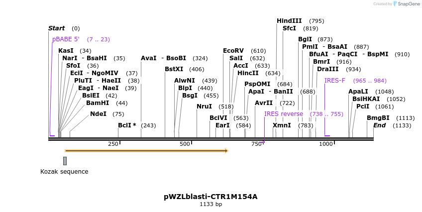 86140_map