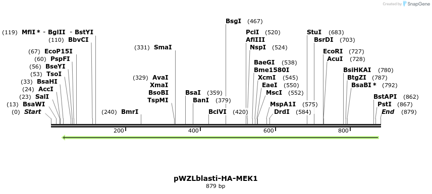 86142_map