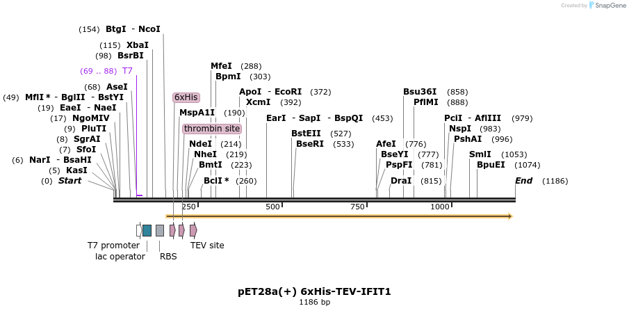 86143_map