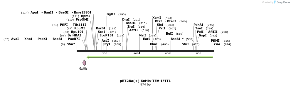 86144_map