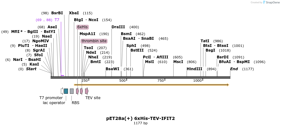 86148_map