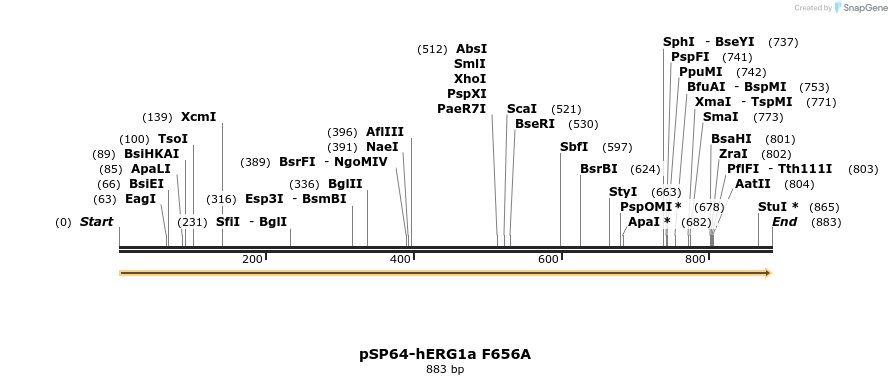 86162_map