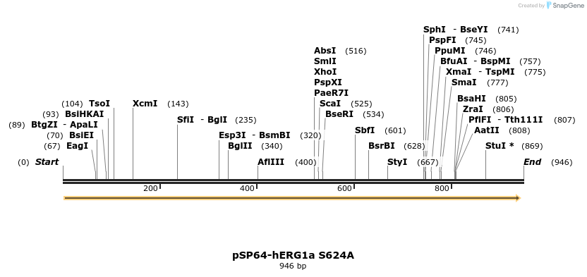 86165_map