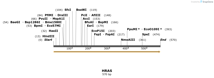 86166_map