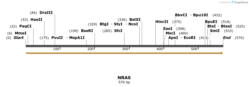 86169_map