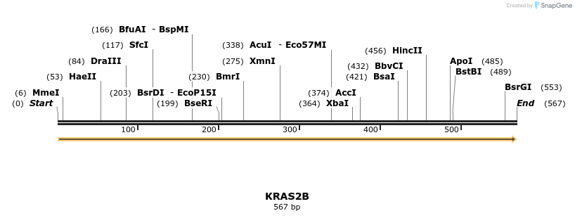 86171_map