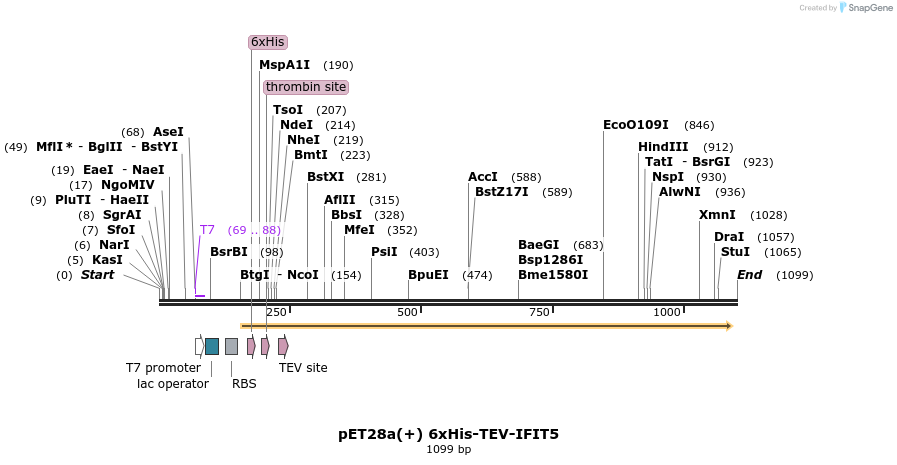 86173_map