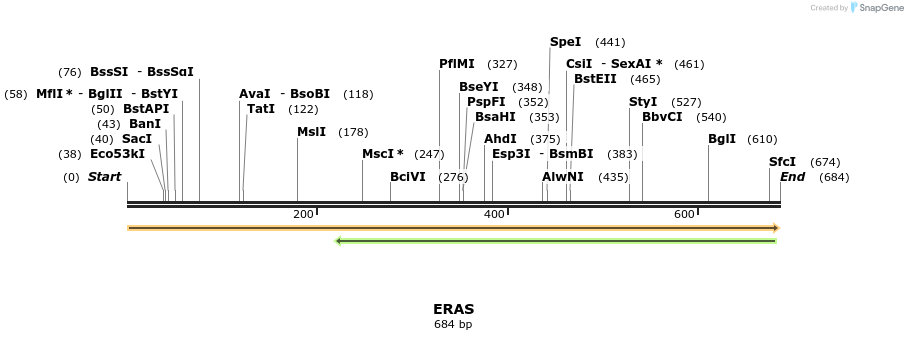 86174_map
