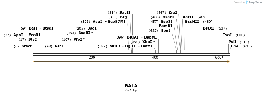 86176_map
