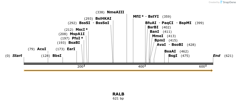 86178_map