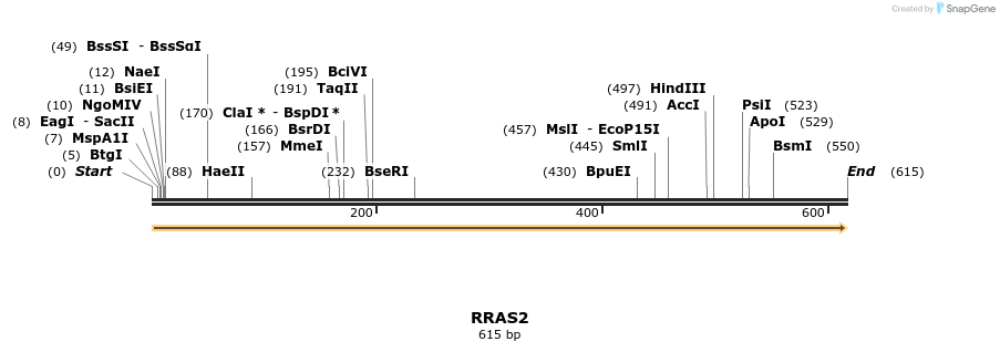 86182_map