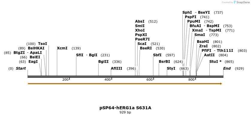 86184_map