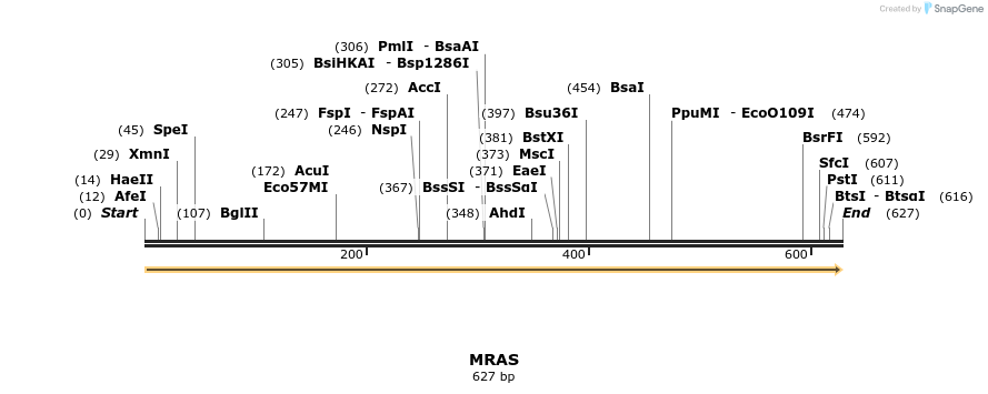 86185_map