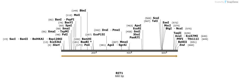 86187_map