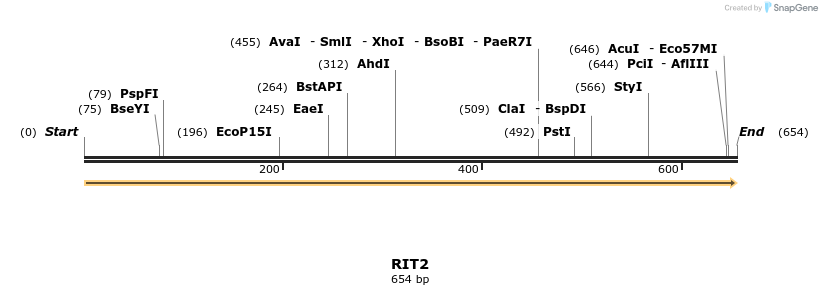 86189_map