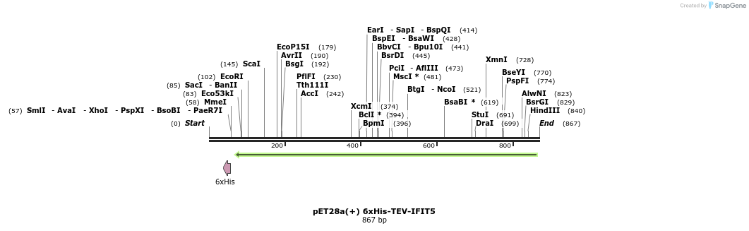 86191_map