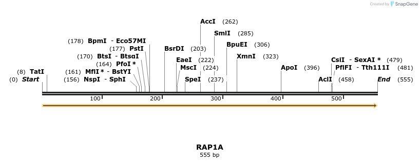 86192_map