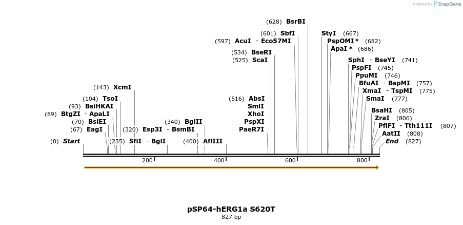 86194_map