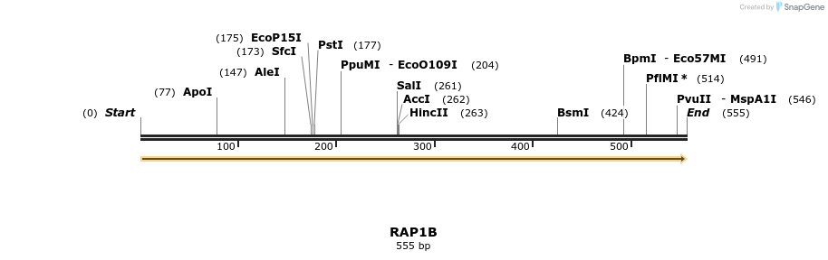 86195_map