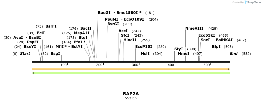 86197_map