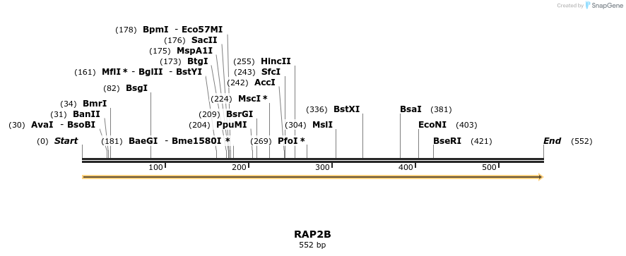 86199_map