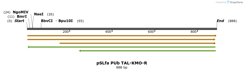 86205_map