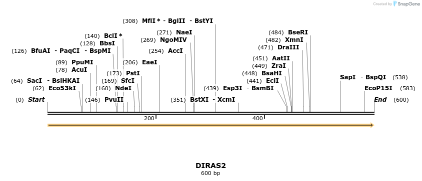 86207_map