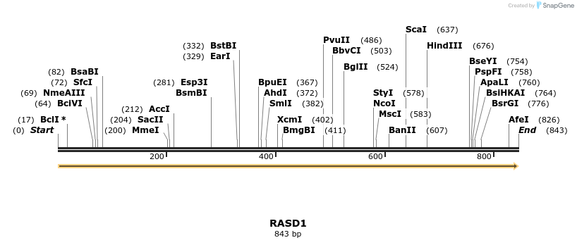 86209_map
