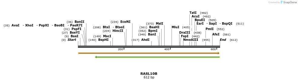 86213_map