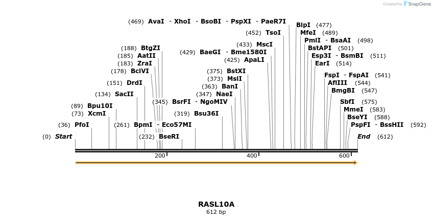 86215_map