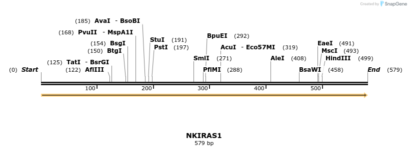 86217_map