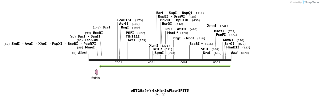 86221_map