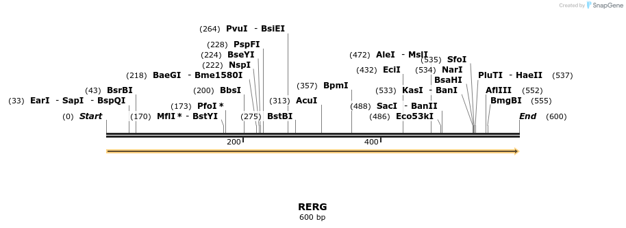 86222_map