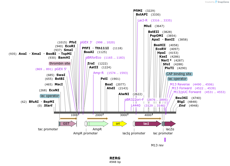 86223_map