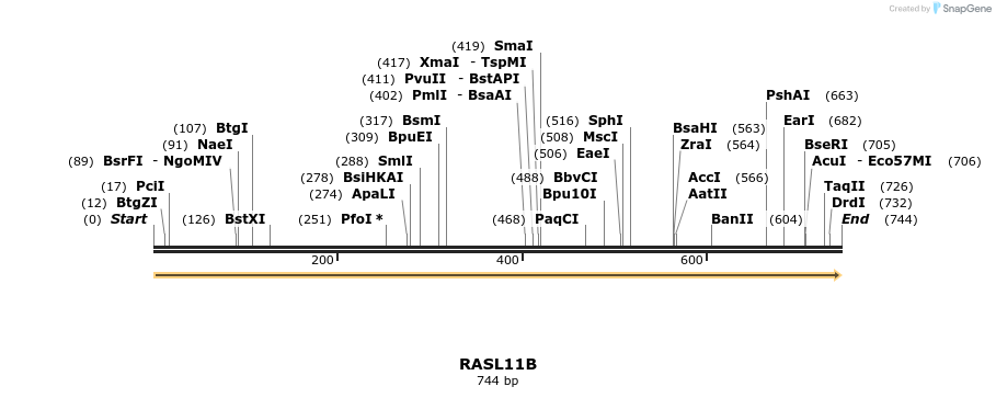 86224_map