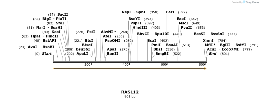 86226_map