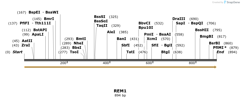 86230_map
