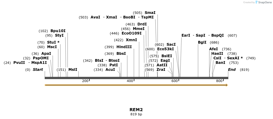 86232_map