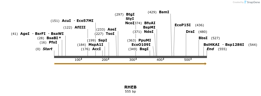 86234_map