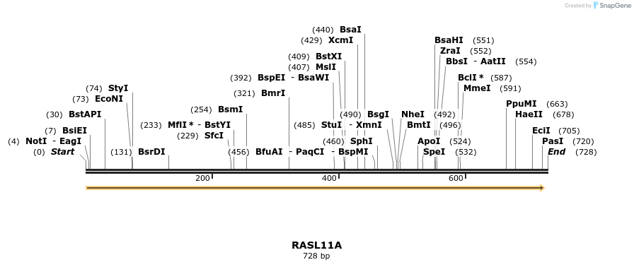 86239_map