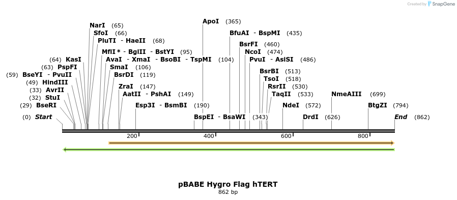 86243_map